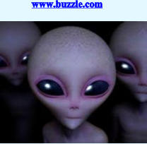 www.buzzle.com